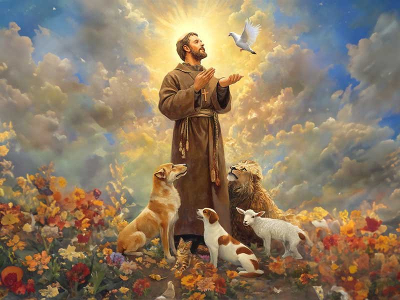 cântico das criaturas 4