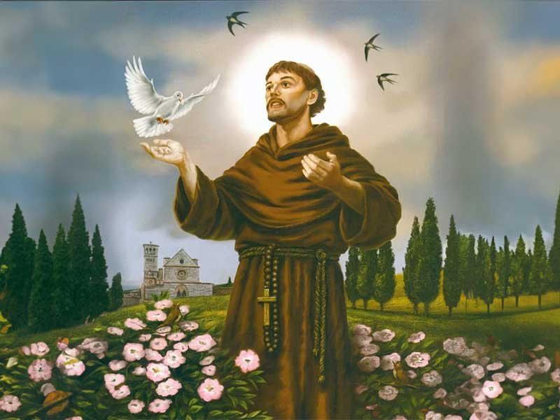 simplicidade voluntária 1