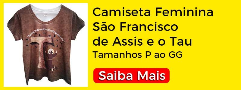 camisetas com imagens de são francisco 55