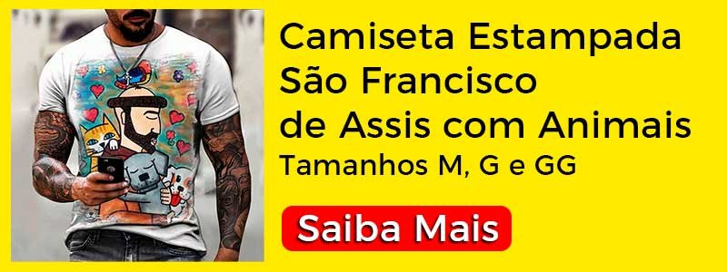 camisetas com imagens de são francisco de assis